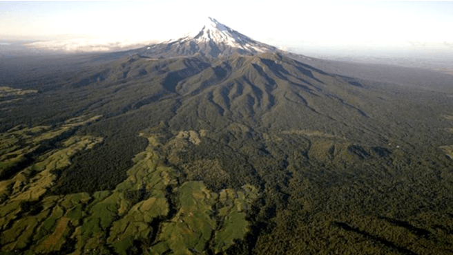 AFishyTale11TaranakiDebris